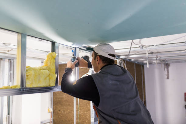 Best Vapor Barrier Installation  in Schaumburg, IL